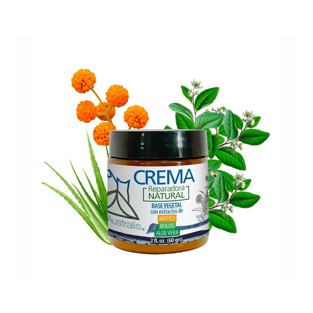 374.jpg Eco Australis Crema Reparadora Natural Matico Boldo Aloe - Imagen 1