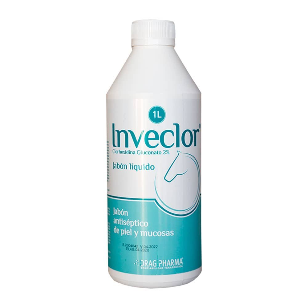 381.jpeg Inveclor Jabón Liquido Clorhexidina 1 Lt - Imagen 1