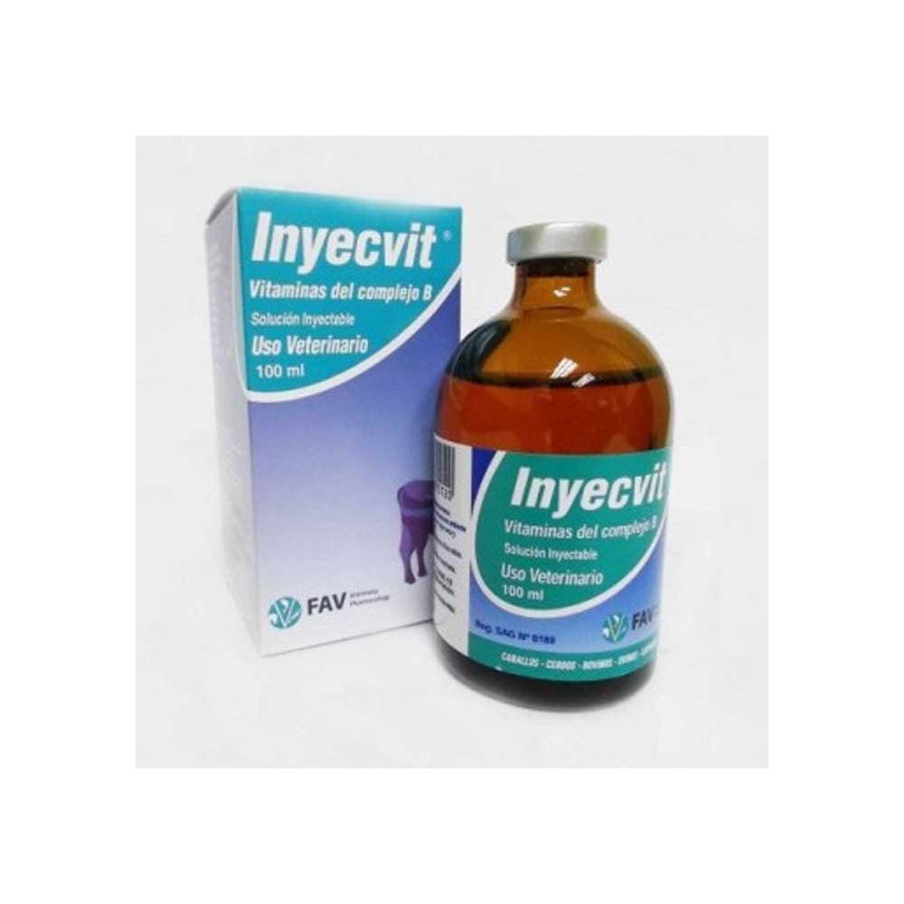 74.jpg Inyecvit 100Ml - Imagen 1