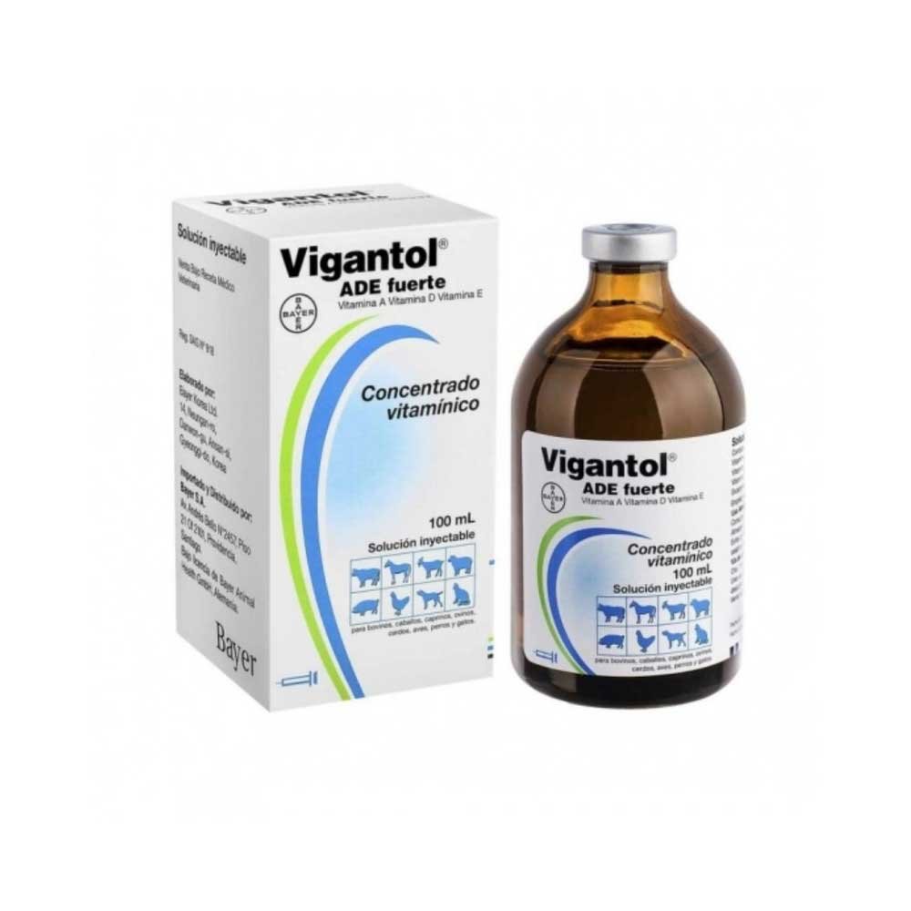 94.jpg Vigantol 100Ml - Imagen 1